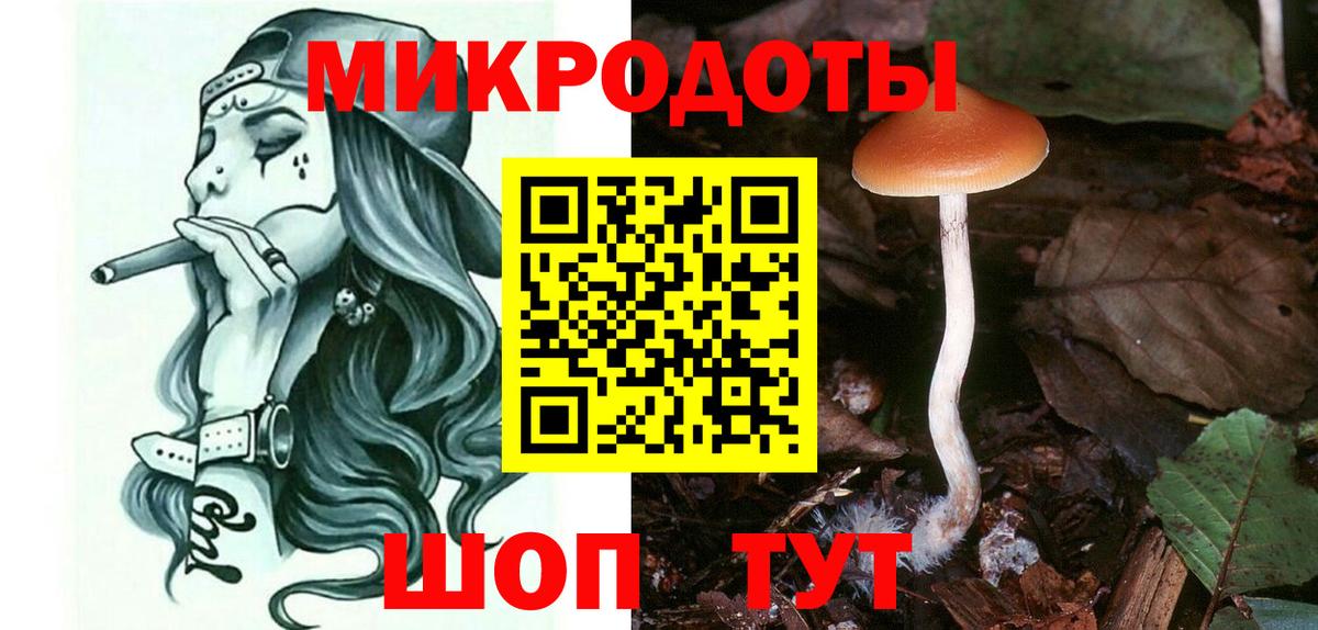 Галлюциногенные грибы MAGIC MUSHROOMS  дарнет шоп  Хабаровск  Псилоцибиновые грибы MAGIC MUSHROOMS  Вход с VPN 